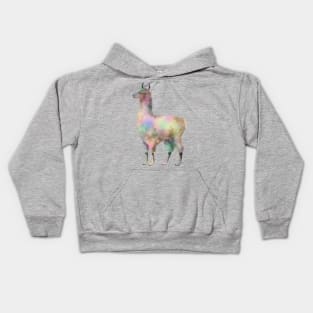 Llama Rainbow color Kids Hoodie